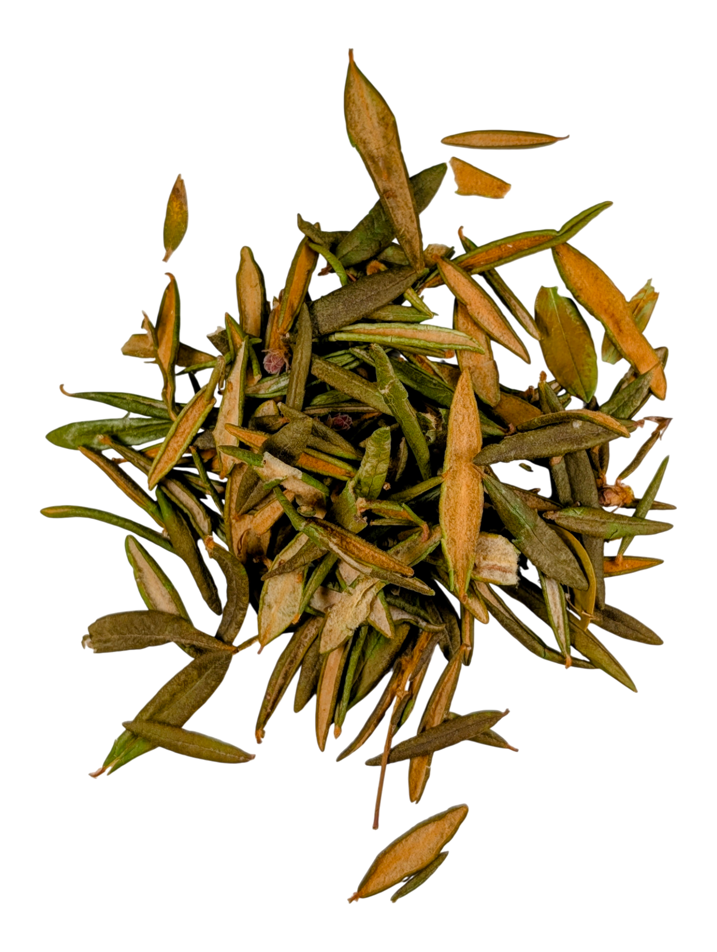 Thé du labrador séché 30g - format économique