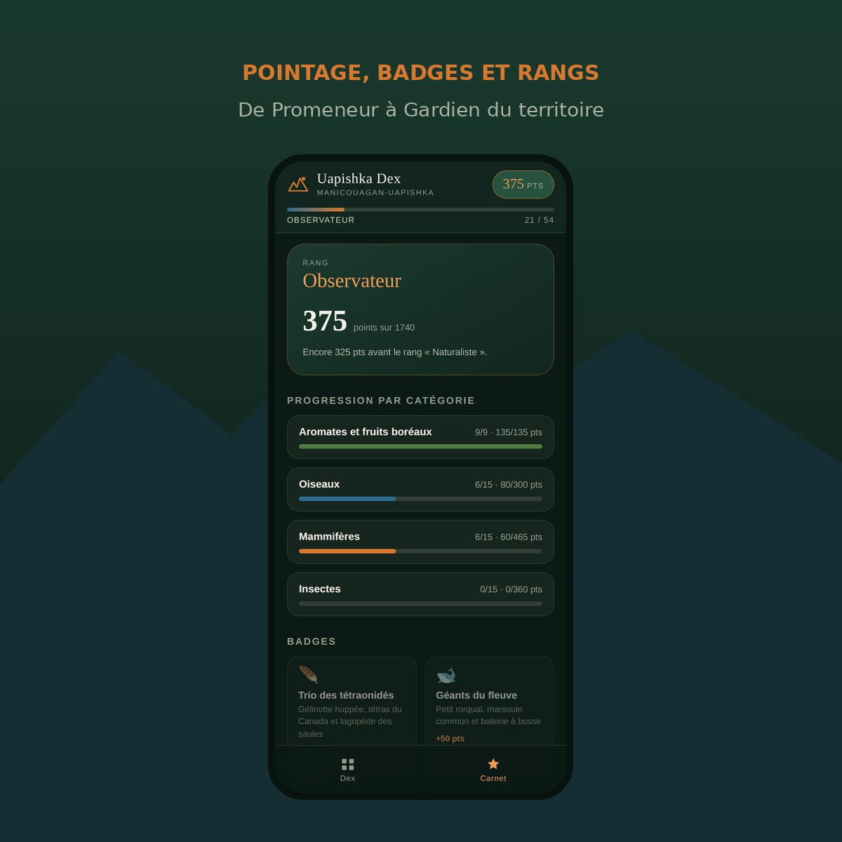 Carnet : pointage, badges et rangs de progression
