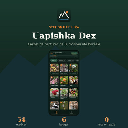 Uapishka Dex — 54 espèces, 6 badges, fonctionne sans réseau