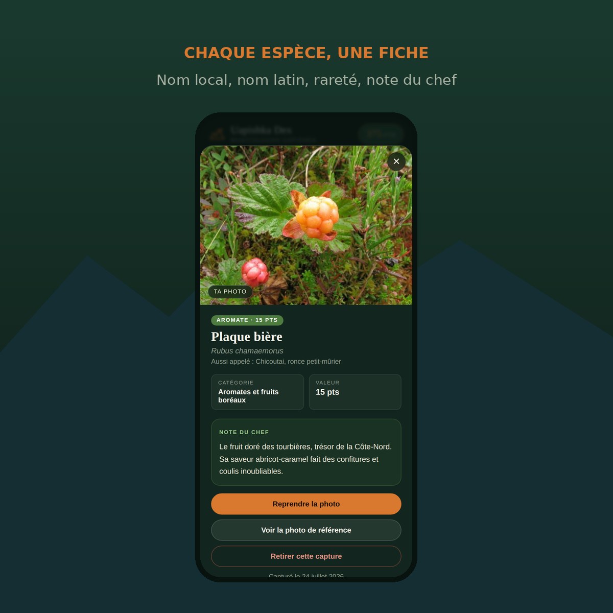 Fiche d'espèce : nom local, nom latin, rareté et note du chef