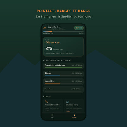 Carnet : pointage, badges et rangs de progression